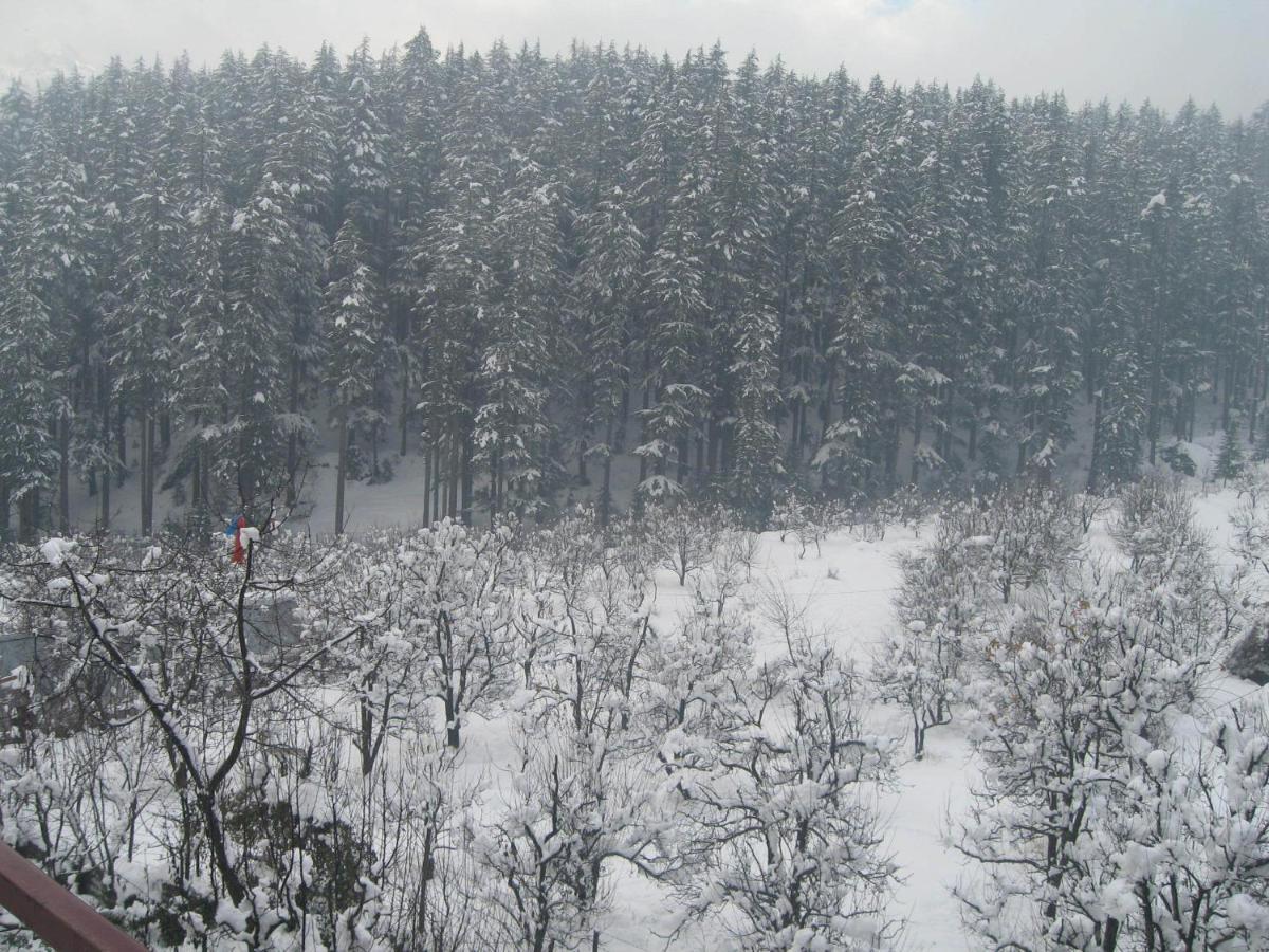 Snow Valley Resorts & Spa Manali Luaran gambar